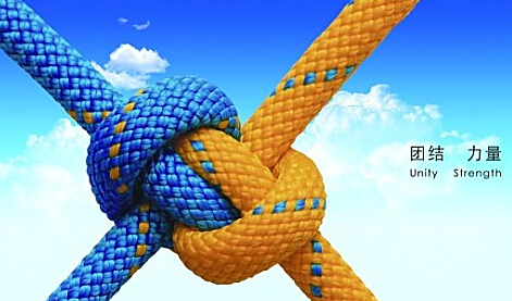 約會春天，放飛心情